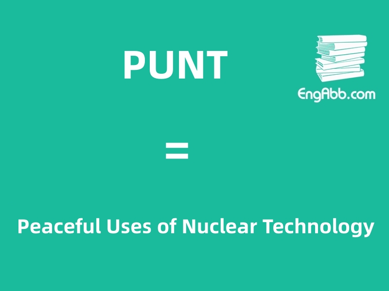 &ldquo;PUNT&rdquo;是&ldquo;Peaceful Uses of Nuclear Technology&rdquo;的缩写，意思是&ldquo;和平利用核技术&rdquo;