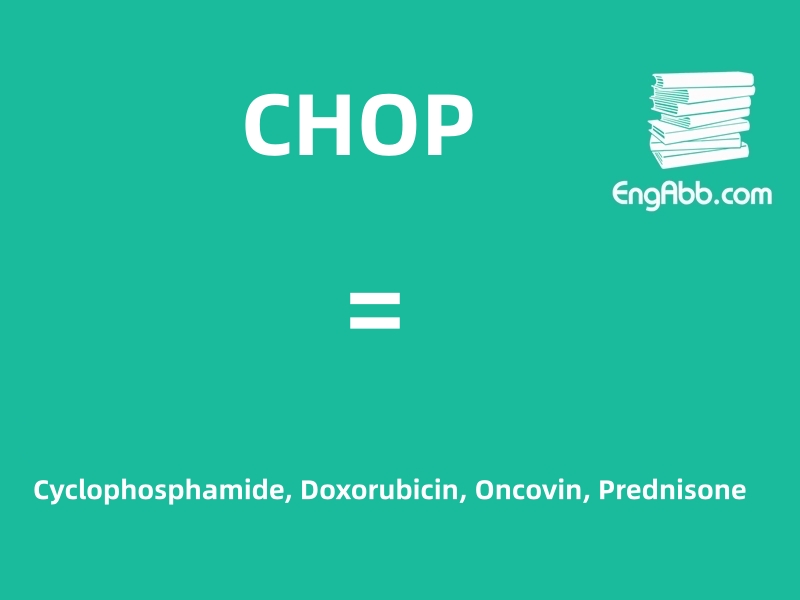 &ldquo;CHOP&rdquo;是&ldquo;Cyclophosphamide, Doxorubicin, Oncovin, Prednisone&rdquo;的缩写，