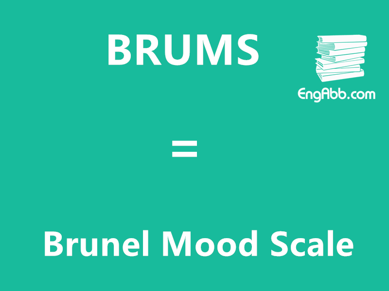 &ldquo;BRUMS&rdquo;是&ldquo;Brunel Mood Scale&rdquo;的缩写，意思是&ldquo;布鲁内尔情绪量表&rdquo;