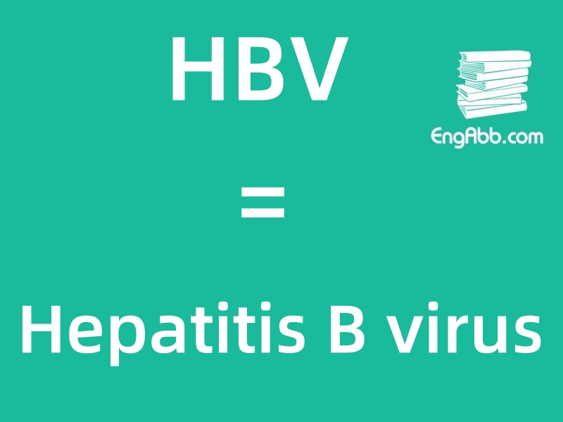 &ldquo;&zwnj;&zwnj;&zwnj;HBV&rdquo;是&ldquo;Hepatitis B virus&rdquo;的缩写，意思是&ldquo;乙型肝炎病毒&rdquo;