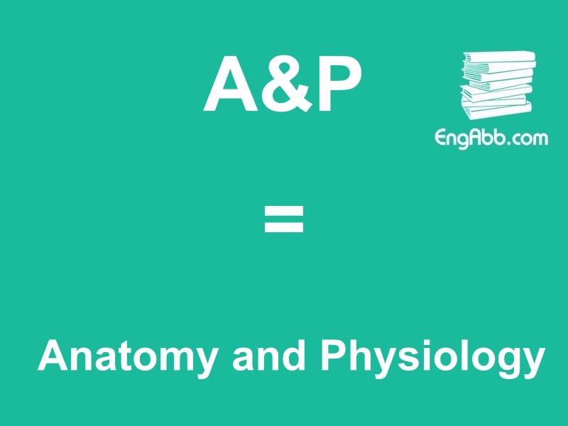 &ldquo;&zwnj;&zwnj;&zwnj;A&P&rdquo;是&ldquo;Anatomy and Physiology&rdquo;的缩写，意思是&ldquo;解剖学与生理学&rdquo;