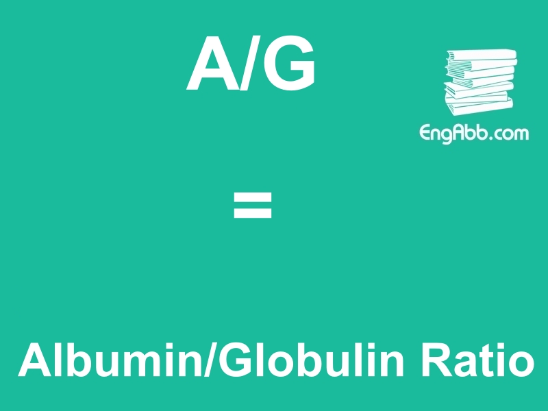 &ldquo;&zwnj;&zwnj;&zwnj;A/G&rdquo;是&ldquo;Albumin/Globulin Ratio&rdquo;的缩写，意思是&ldquo;白球蛋白比例&rdquo;