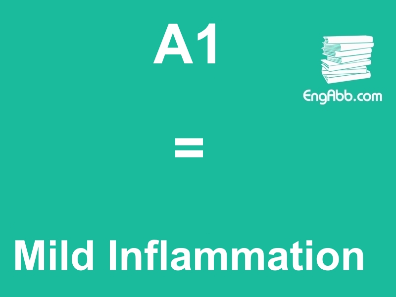 &ldquo;&zwnj;&zwnj;&zwnj;A1&rdquo;是&ldquo;Mild Inflammation&rdquo;的缩写，意思是&ldquo;轻度炎症&rdquo;